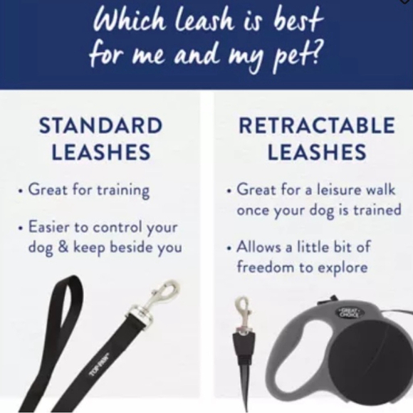 Top Paw Nylon Coral Gunmetal Colour Dog Leash Swivel 6 ft - Picture 7 of 7